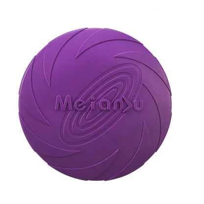 Interactive Toys & Outdoor Fun