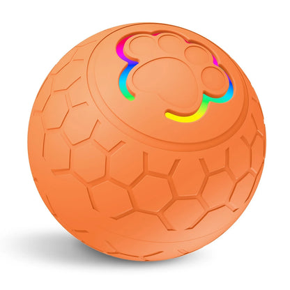 Interactive Toys & Indoor Action