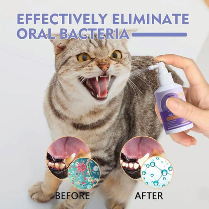 Oral Hygiene & Wellbeing