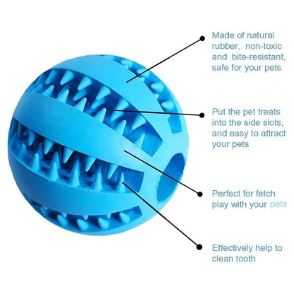 Interactive Toys & Dental Chew
