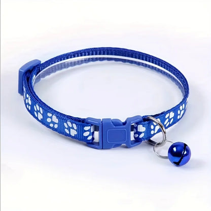 Collars & Safety Accessories