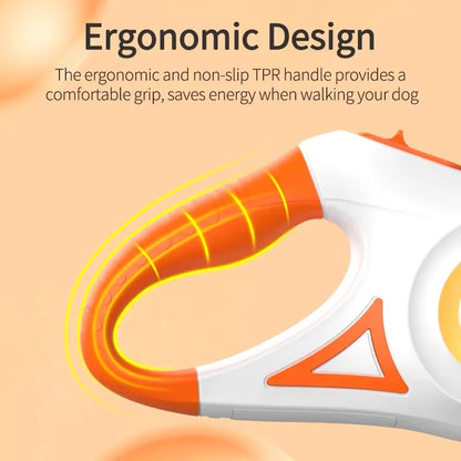 Walks & Outdoor Essentials