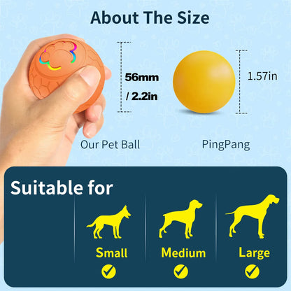 Interactive Toys & Indoor Action