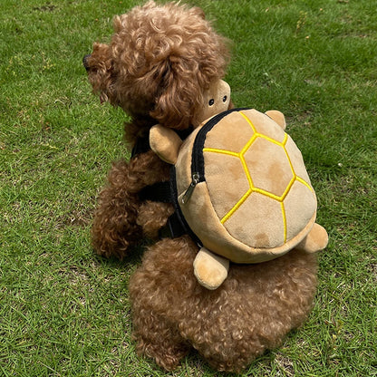 Training & Walk Accessories