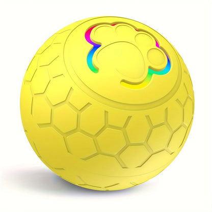 Interactive Toys & Indoor Action