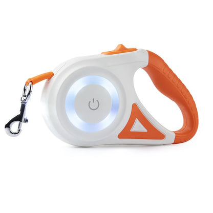 Walks & Outdoor Essentials