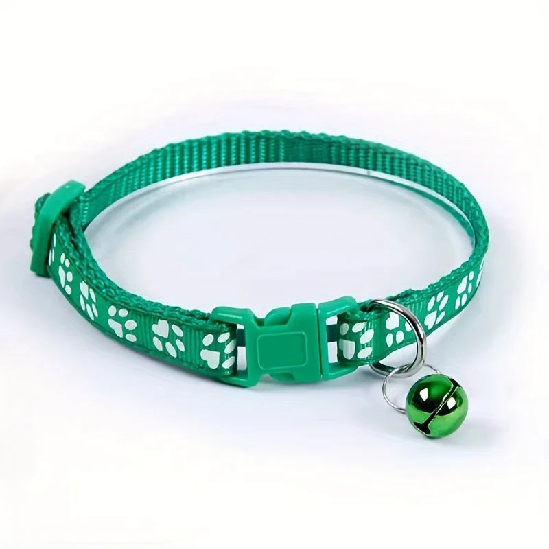 Collars & Safety Accessories