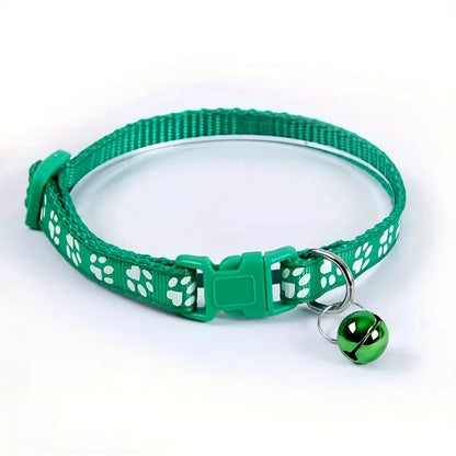 Collars & Safety Accessories