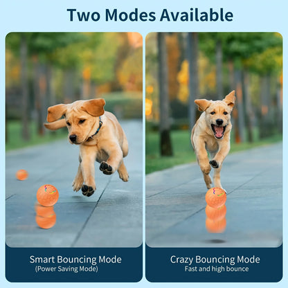 Interactive Toys & Indoor Action