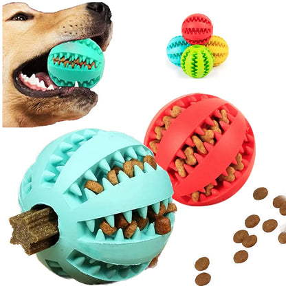 Interactive Toys & Dental Chew