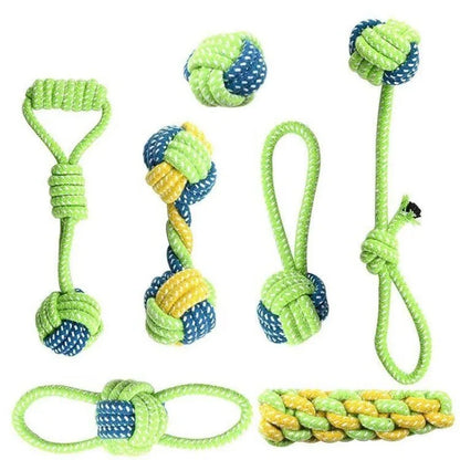 Interactive Toys & Dental Chew