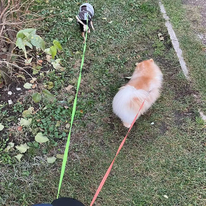 Walks & Outdoor Essentials