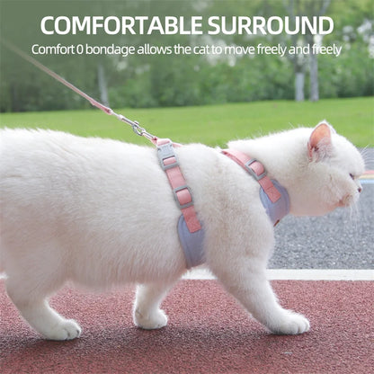 Outdoor & Walk Essentials