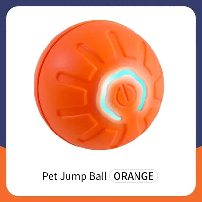 Interactive Toys & Indoor Action