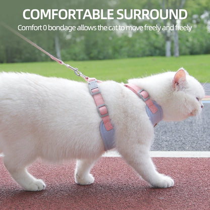 Outdoor & Walk Essentials
