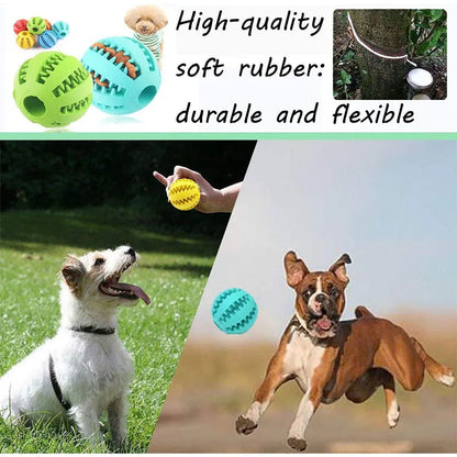 Interactive Toys & Dental Chew