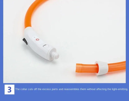 Visibility & Safety Accessories