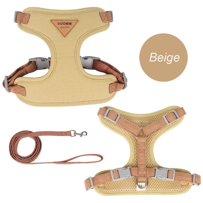 Outdoor & Walk Essentials