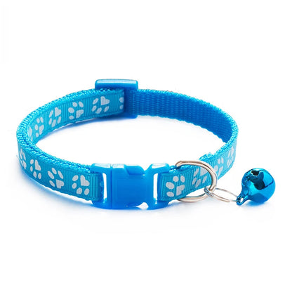 Collars & Safety Accessories