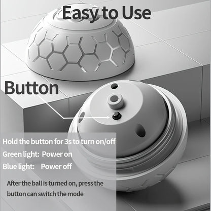 Interactive Toys & Indoor Action