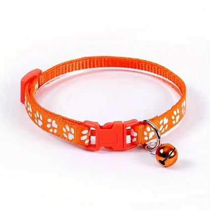 Collars & Safety Accessories